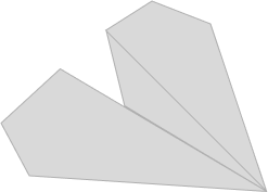 fly
